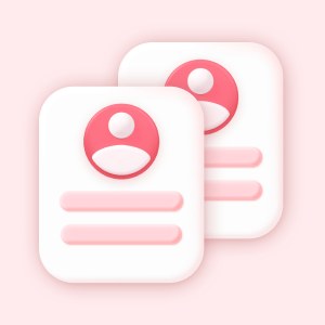 Developer Recruitment Process - Selection