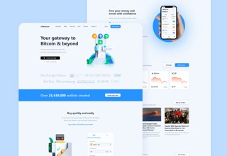 Bitcoin DeFi Website Design