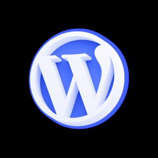 WordPress Dev Agency