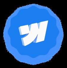 Webflow Agency Partner