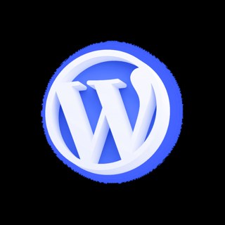 WordPress Agency