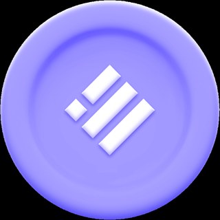 Crypto Design Website Binance USD Asset